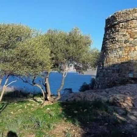 Charmant Petit Logement A 3 Kms De La Plage Belgodère Extérieur photo