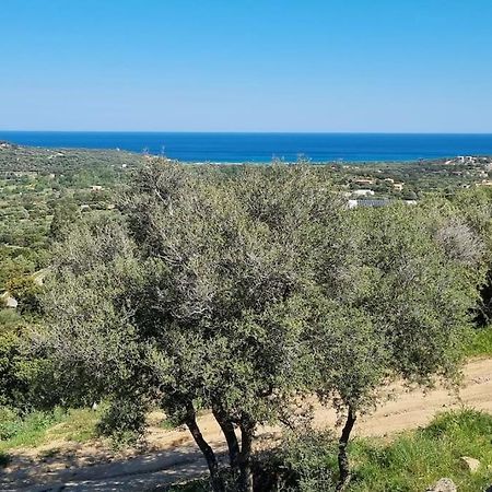 Charmant Petit Logement A 3 Kms De La Plage Belgodère Extérieur photo