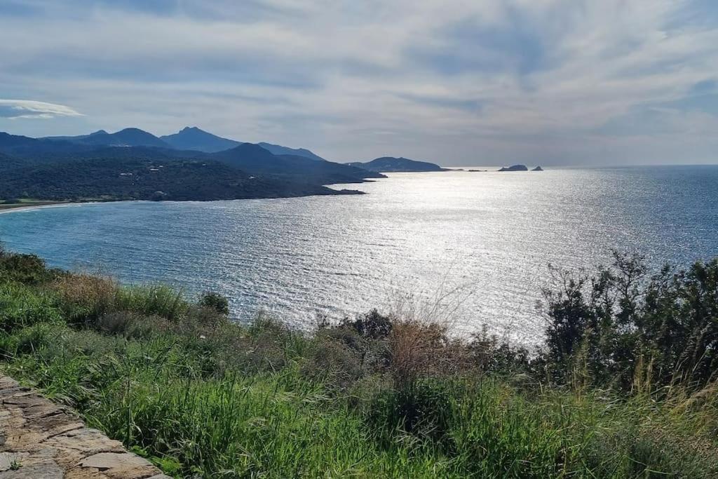 Charmant Petit Logement A 3 Kms De La Plage Belgodère Extérieur photo