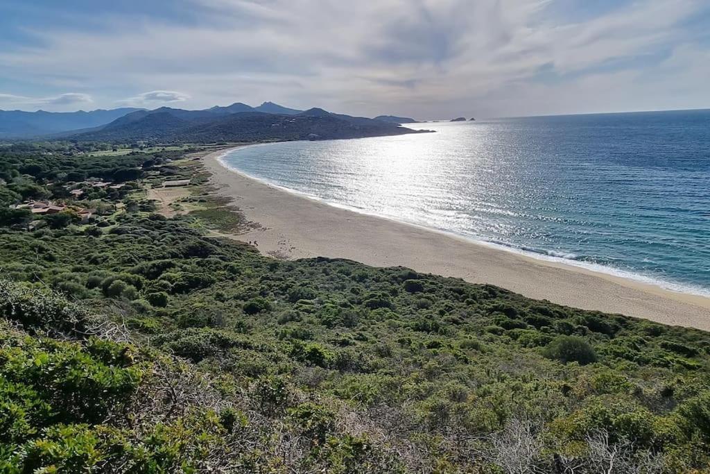 Charmant Petit Logement A 3 Kms De La Plage Belgodère Extérieur photo